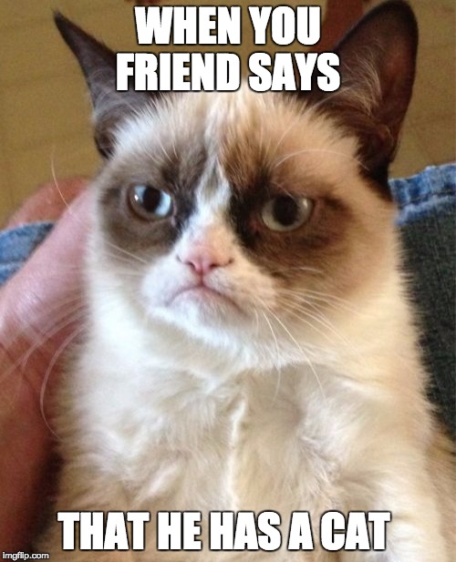 Grumpy Cat | WHEN YOU FRIEND SAYS; THAT HE HAS A CAT | image tagged in memes,grumpy cat | made w/ Imgflip meme maker