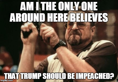 Am I The Only One Around Here Meme | AM I THE ONLY ONE AROUND HERE BELIEVES; THAT TRUMP SHOULD BE IMPEACHED? | image tagged in memes,am i the only one around here | made w/ Imgflip meme maker