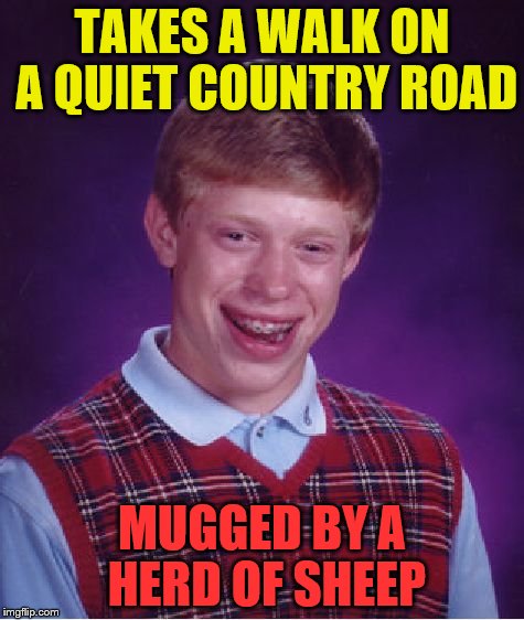Bad Luck Brian Meme | TAKES A WALK ON A QUIET COUNTRY ROAD; MUGGED BY A HERD OF SHEEP | image tagged in memes,bad luck brian | made w/ Imgflip meme maker