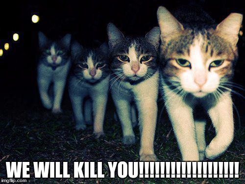 Wrong Neighboorhood Cats | WE WILL KILL YOU!!!!!!!!!!!!!!!!!!! | image tagged in memes,wrong neighboorhood cats | made w/ Imgflip meme maker