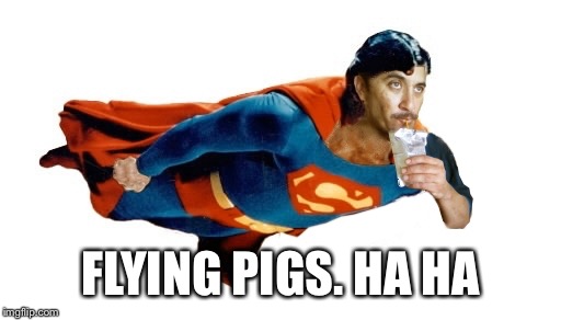 Where are they? | FLYING PIGS. HA HA | image tagged in supermac punch,no to flying pigs,we dont need them,memes,dogs,cats | made w/ Imgflip meme maker