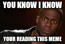 You now that i know | YOU KNOW I KNOW; YOUR READING THIS MEME | image tagged in memes,kevin hart the hell,you know that i know | made w/ Imgflip meme maker
