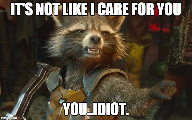 Rocket Raccoon | IT'S NOT LIKE I CARE FOR YOU; YOU..IDIOT. | image tagged in rocket raccoon,tsudere | made w/ Imgflip meme maker