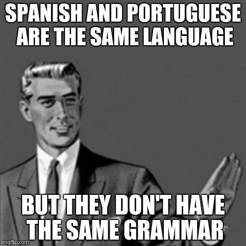 Spanish and Portuguese are the same language | SPANISH AND PORTUGUESE ARE THE SAME LANGUAGE; BUT THEY DON'T HAVE THE SAME GRAMMAR | image tagged in correction guy | made w/ Imgflip meme maker