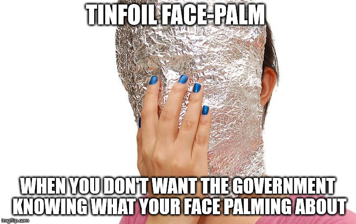 TINFOIL FACE-PALM; WHEN YOU DON'T WANT THE GOVERNMENT KNOWING WHAT YOUR FACE PALMING ABOUT | made w/ Imgflip meme maker