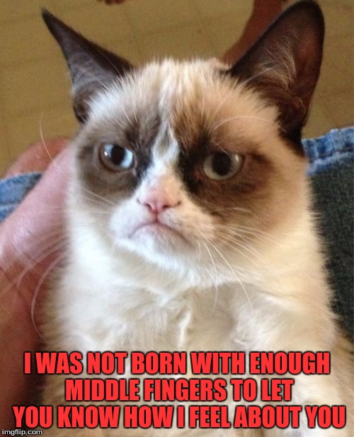 My Impression About Trolls | I WAS NOT BORN WITH ENOUGH MIDDLE FINGERS TO LET YOU KNOW HOW I FEEL ABOUT YOU | image tagged in memes,grumpy cat | made w/ Imgflip meme maker