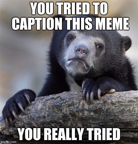the face is perfect!!! | YOU TRIED TO CAPTION THIS MEME; YOU REALLY TRIED | image tagged in memes,confession bear,i tried | made w/ Imgflip meme maker