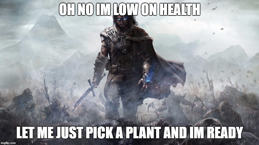Mordor | OH NO IM LOW ON HEALTH; LET ME JUST PICK A PLANT AND IM READY | image tagged in mordor | made w/ Imgflip meme maker