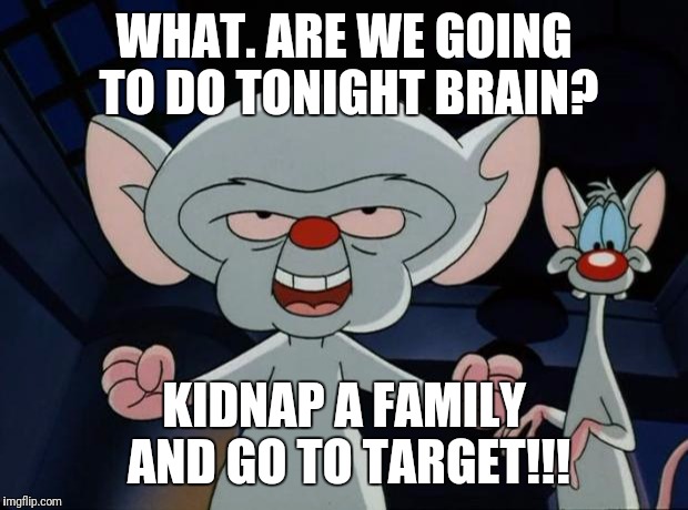 Pinky and the Brain | WHAT. ARE WE GOING TO DO TONIGHT BRAIN? KIDNAP A FAMILY AND GO TO TARGET!!! | image tagged in pinky and the brain | made w/ Imgflip meme maker