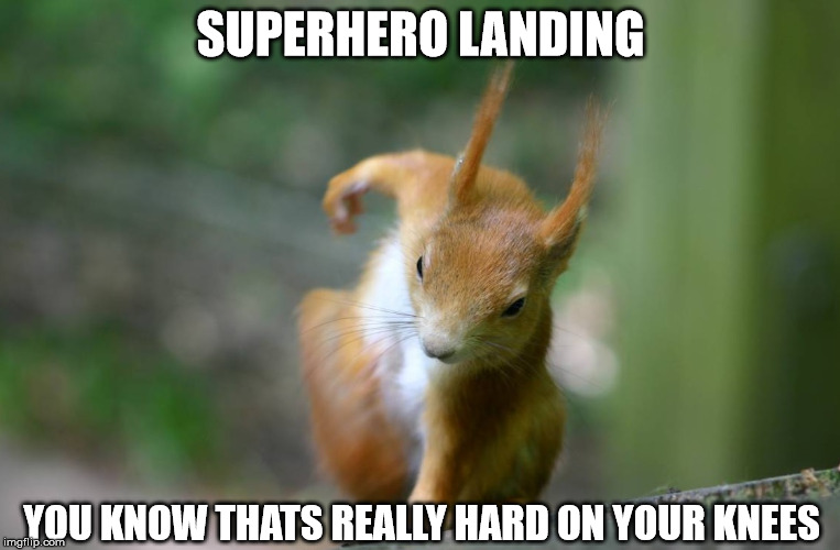 Superhero Landing | SUPERHERO LANDING; YOU KNOW THATS REALLY HARD ON YOUR KNEES | image tagged in super squirrel,squirrel,memes,superhero | made w/ Imgflip meme maker