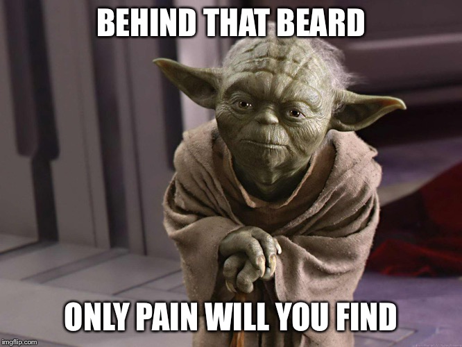 right in the pussy yoda meme | BEHIND THAT BEARD; ONLY PAIN WILL YOU FIND | image tagged in yoda | made w/ Imgflip meme maker