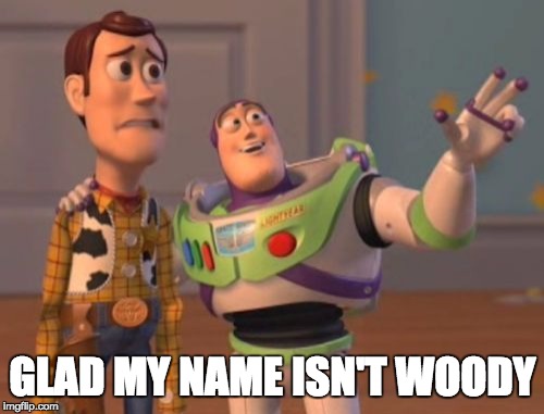 X, X Everywhere Meme | GLAD MY NAME ISN'T WOODY | image tagged in memes,x x everywhere | made w/ Imgflip meme maker