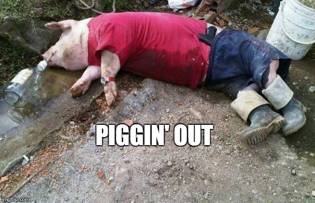 PIGGIN' OUT | made w/ Imgflip meme maker