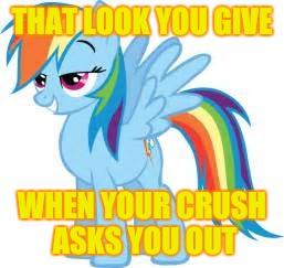 THAT LOOK YOU GIVE; WHEN YOUR CRUSH ASKS YOU OUT | image tagged in rainbow dash | made w/ Imgflip meme maker