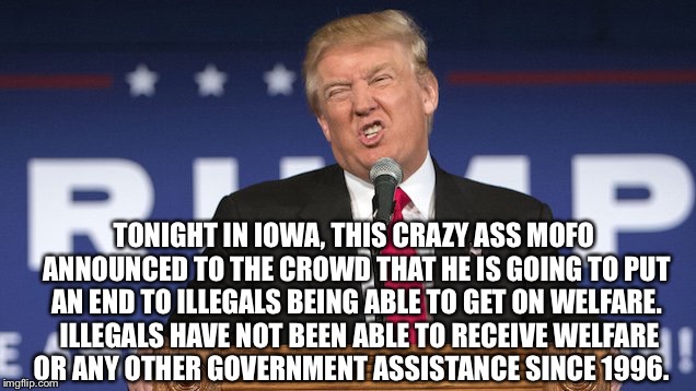 Article 25. Now. | TONIGHT IN IOWA, THIS CRAZY ASS MOFO ANNOUNCED TO THE CROWD THAT HE IS GOING TO PUT AN END TO ILLEGALS BEING ABLE TO GET ON WELFARE.  ILLEGALS HAVE NOT BEEN ABLE TO RECEIVE WELFARE OR ANY OTHER GOVERNMENT ASSISTANCE SINCE 1996. | image tagged in seriously wtf | made w/ Imgflip meme maker
