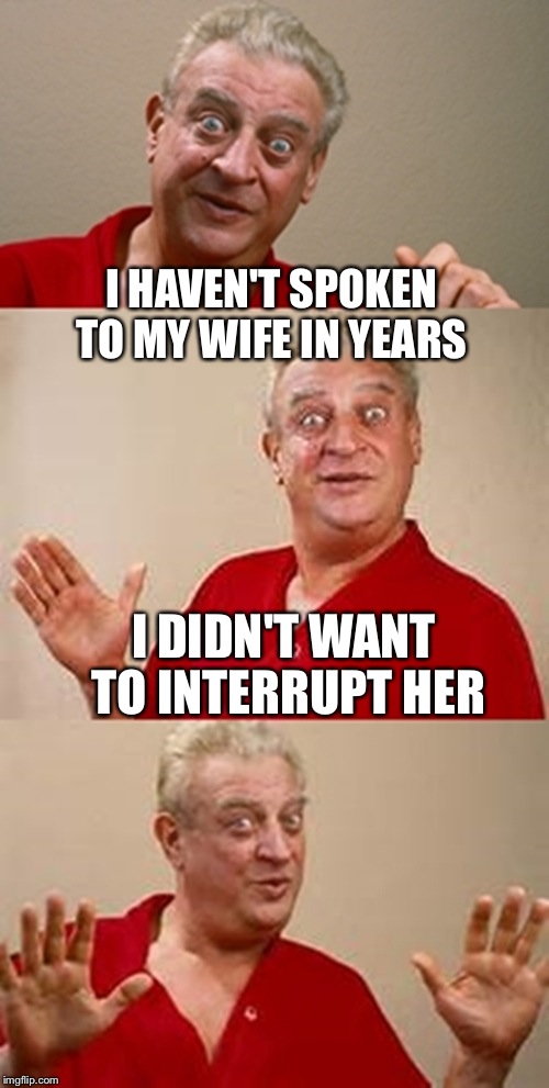bad pun Dangerfield  | I HAVEN'T SPOKEN TO MY WIFE IN YEARS; I DIDN'T WANT TO INTERRUPT HER | image tagged in bad pun dangerfield | made w/ Imgflip meme maker