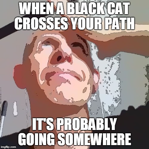 Black cats | WHEN A BLACK CAT CROSSES YOUR PATH; IT'S PROBABLY GOING SOMEWHERE | image tagged in superstition,idiots,i'm surrounded by idiots,pseudoscience | made w/ Imgflip meme maker