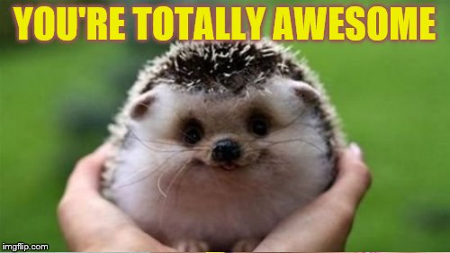 YOU'RE TOTALLY AWESOME | made w/ Imgflip meme maker