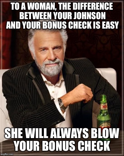 blowing in the wind | TO A WOMAN, THE DIFFERENCE BETWEEN YOUR JOHNSON AND YOUR BONUS CHECK IS EASY; SHE WILL ALWAYS BLOW YOUR BONUS CHECK | image tagged in memes,the most interesting man in the world,funny | made w/ Imgflip meme maker