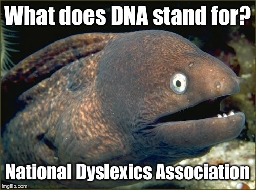 Bad Joke Eel Meme | What does DNA stand for? National Dyslexics Association | image tagged in memes,bad joke eel | made w/ Imgflip meme maker
