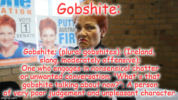 Gobshite:; Gobshite; (plural gobshites); (Ireland, slang, moderately offensive); One who engages in nonsensical chatter or unwanted conversation; "What's that gobshite talking about now?"; A person of very poor judgement and unpleasant character. | image tagged in pauline hanson,gobshite meme | made w/ Imgflip meme maker