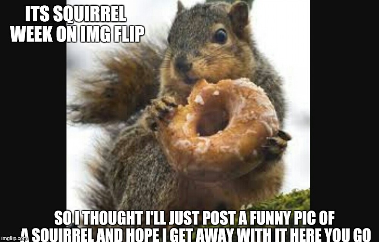 ITS SQUIRREL WEEK ON IMG FLIP; SO I THOUGHT I'LL JUST POST A FUNNY PIC OF A SQUIRREL AND HOPE I GET AWAY WITH IT HERE YOU GO | image tagged in philosoraptor | made w/ Imgflip meme maker