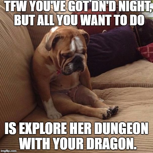 bulldogsad | TFW YOU'VE GOT DN'D NIGHT, BUT ALL YOU WANT TO DO; IS EXPLORE HER DUNGEON WITH YOUR DRAGON. | image tagged in bulldogsad | made w/ Imgflip meme maker