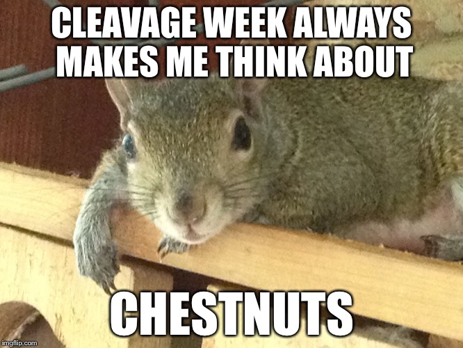Squirrel Philosopher | CLEAVAGE WEEK ALWAYS MAKES ME THINK ABOUT; CHESTNUTS | image tagged in squirrel philosopher,memes,funny,squirrel week | made w/ Imgflip meme maker