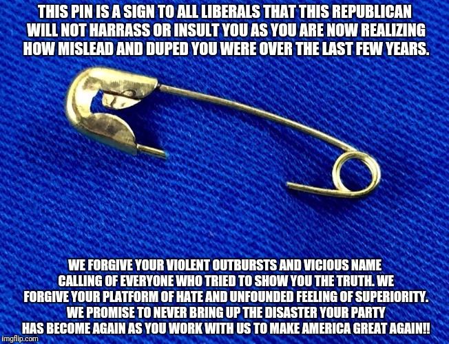 Safety Pin | THIS PIN IS A SIGN TO ALL LIBERALS THAT THIS REPUBLICAN WILL NOT HARRASS OR INSULT YOU AS YOU ARE NOW REALIZING HOW MISLEAD AND DUPED YOU WERE OVER THE LAST FEW YEARS. WE FORGIVE YOUR VIOLENT OUTBURSTS AND VICIOUS NAME CALLING OF EVERYONE WHO TRIED TO SHOW YOU THE TRUTH. WE FORGIVE YOUR PLATFORM OF HATE AND UNFOUNDED FEELING OF SUPERIORITY. WE PROMISE TO NEVER BRING UP THE DISASTER YOUR PARTY HAS BECOME AGAIN AS YOU WORK WITH US TO MAKE AMERICA GREAT AGAIN!! | image tagged in safety pin | made w/ Imgflip meme maker