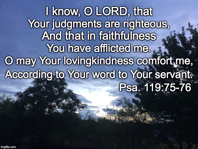 I know, O LORD, that; Your judgments are righteous, And that in faithfulness; You have afflicted me. O may Your lovingkindness comfort me, According to Your word to Your servant. Psa. 119:75-76 | image tagged in comfort | made w/ Imgflip meme maker