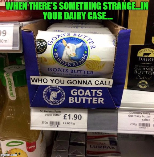 Another song meme to get stuck in your head!!! | WHEN THERE'S SOMETHING STRANGE...IN YOUR DAIRY CASE.... | image tagged in funny signs,memes,goat's butter,funny,signs,animals | made w/ Imgflip meme maker