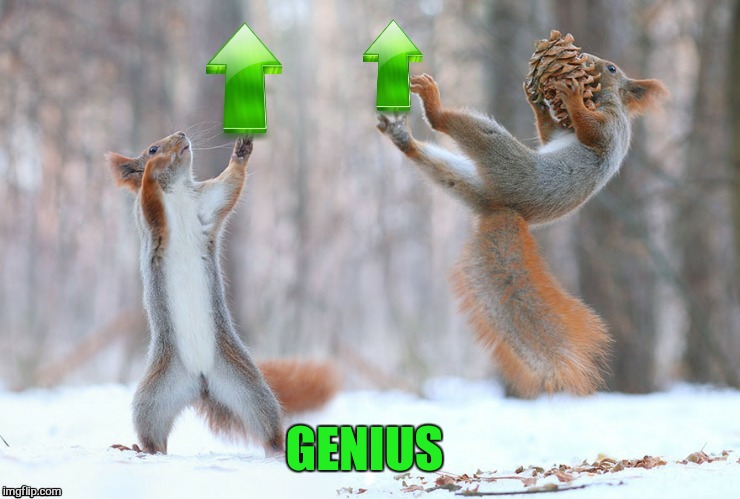 GENIUS | made w/ Imgflip meme maker