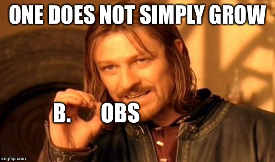 One Does Not Simply Meme | ONE DOES NOT SIMPLY GROW; B.       OBS | image tagged in memes,one does not simply | made w/ Imgflip meme maker