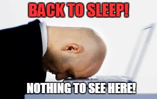 asleepatdesk | BACK TO SLEEP! NOTHING TO SEE HERE! | image tagged in asleepatdesk | made w/ Imgflip meme maker