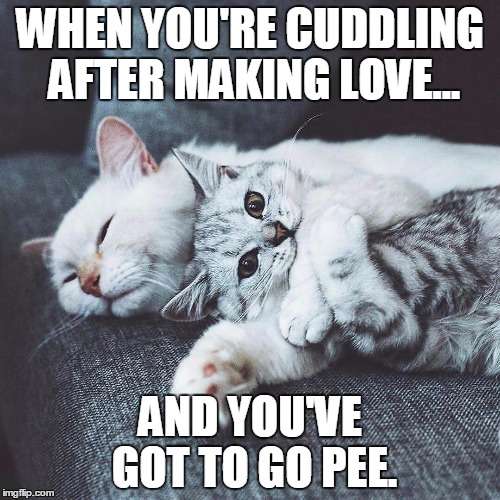 How many times has this happened to you? | WHEN YOU'RE CUDDLING AFTER MAKING LOVE... AND YOU'VE GOT TO GO PEE. | image tagged in cats | made w/ Imgflip meme maker