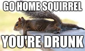 GO HOME SQUIRREL; YOU'RE DRUNK | image tagged in memes,go home youre drunk | made w/ Imgflip meme maker