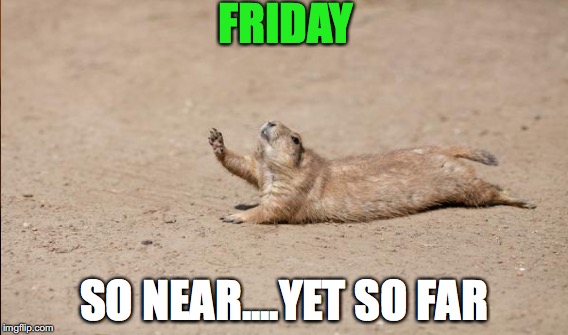 Oh god it's been such a looooong week | FRIDAY; SO NEAR....YET SO FAR | image tagged in friday,squirrel week | made w/ Imgflip meme maker