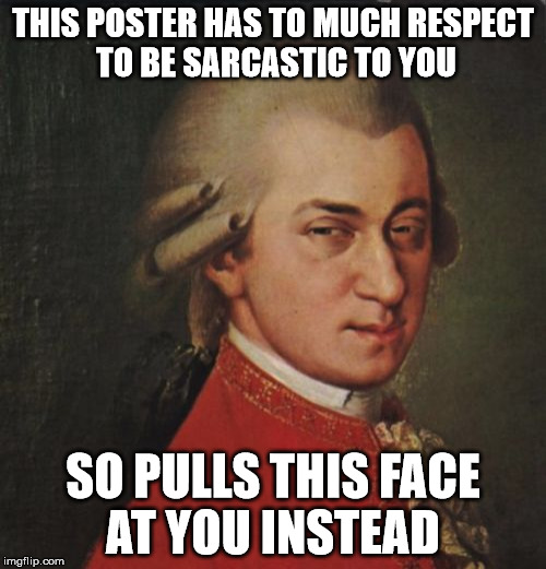 Mozart Not Sure Meme | THIS POSTER HAS TO MUCH RESPECT TO BE SARCASTIC TO YOU; SO PULLS THIS FACE AT YOU INSTEAD | image tagged in memes,mozart not sure | made w/ Imgflip meme maker