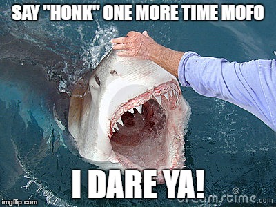 GW | SAY "HONK" ONE MORE TIME MOFO; I DARE YA! | image tagged in gw | made w/ Imgflip meme maker