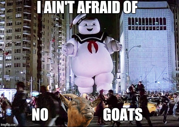 I AIN'T AFRAID OF NO                    GOATS | made w/ Imgflip meme maker