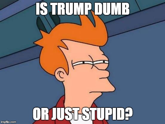 Futurama Fry | IS TRUMP DUMB; OR JUST STUPID? | image tagged in memes,futurama fry | made w/ Imgflip meme maker