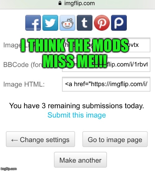 I've been MIA for 2 months and I still have 3 submissions! If it's the norm now don't burst my bubble LOL | I THINK THE MODS MISS ME!!! | image tagged in lynch1979,missing you all,lol,memes | made w/ Imgflip meme maker