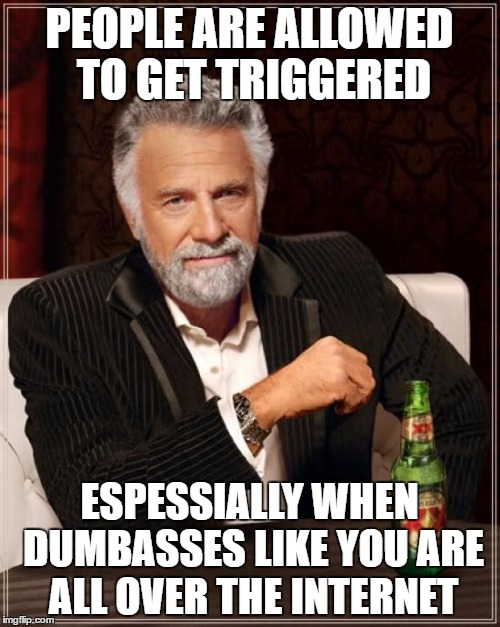 The Most Interesting Man In The World Meme | PEOPLE ARE ALLOWED TO GET TRIGGERED ESPESSIALLY WHEN DUMBASSES LIKE YOU ARE ALL OVER THE INTERNET | image tagged in memes,the most interesting man in the world | made w/ Imgflip meme maker