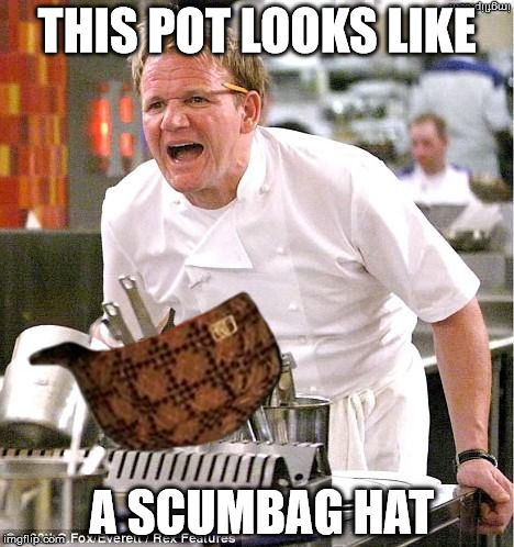 Chef Gordon Ramsay | THIS POT LOOKS LIKE; A SCUMBAG HAT | image tagged in chef gordon ramsay,memes | made w/ Imgflip meme maker