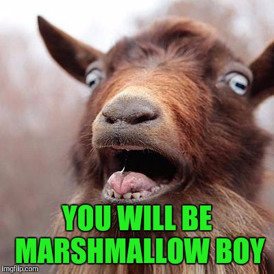 YOU WILL BE MARSHMALLOW BOY | made w/ Imgflip meme maker