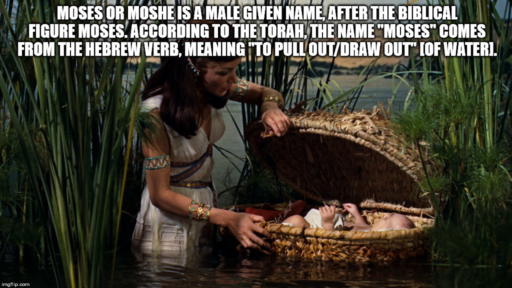 Moses drawn from water. | MOSES OR MOSHE IS A MALE GIVEN NAME, AFTER THE BIBLICAL FIGURE MOSES. ACCORDING TO THE TORAH, THE NAME "MOSES" COMES FROM THE HEBREW VERB, MEANING "TO PULL OUT/DRAW OUT" [OF WATER]. | image tagged in moses,torah,water | made w/ Imgflip meme maker