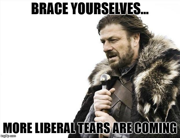 Brace Yourselves X is Coming Meme | BRACE YOURSELVES... MORE LIBERAL TEARS ARE COMING | image tagged in memes,brace yourselves x is coming | made w/ Imgflip meme maker