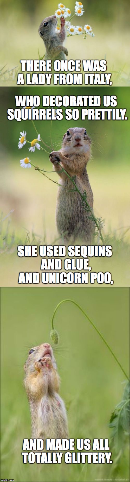 I can't stop thinking of rhymes with Italy | THERE ONCE WAS A LADY FROM ITALY, WHO DECORATED US SQUIRRELS SO PRETTILY. SHE USED SEQUINS AND GLUE, AND UNICORN POO, AND MADE US ALL TOTALLY GLITTERY. | image tagged in meme,squirrel week,glitter | made w/ Imgflip meme maker