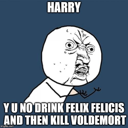 Y U No | HARRY; Y U NO DRINK FELIX FELICIS AND THEN KILL VOLDEMORT | image tagged in memes,y u no | made w/ Imgflip meme maker