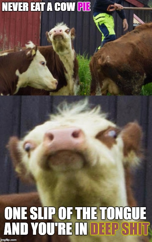 NEVER EAT A COW PIE ONE SLIP OF THE TONGUE AND YOU'RE IN DEEP SHIT PIE DEEP SHIT | made w/ Imgflip meme maker